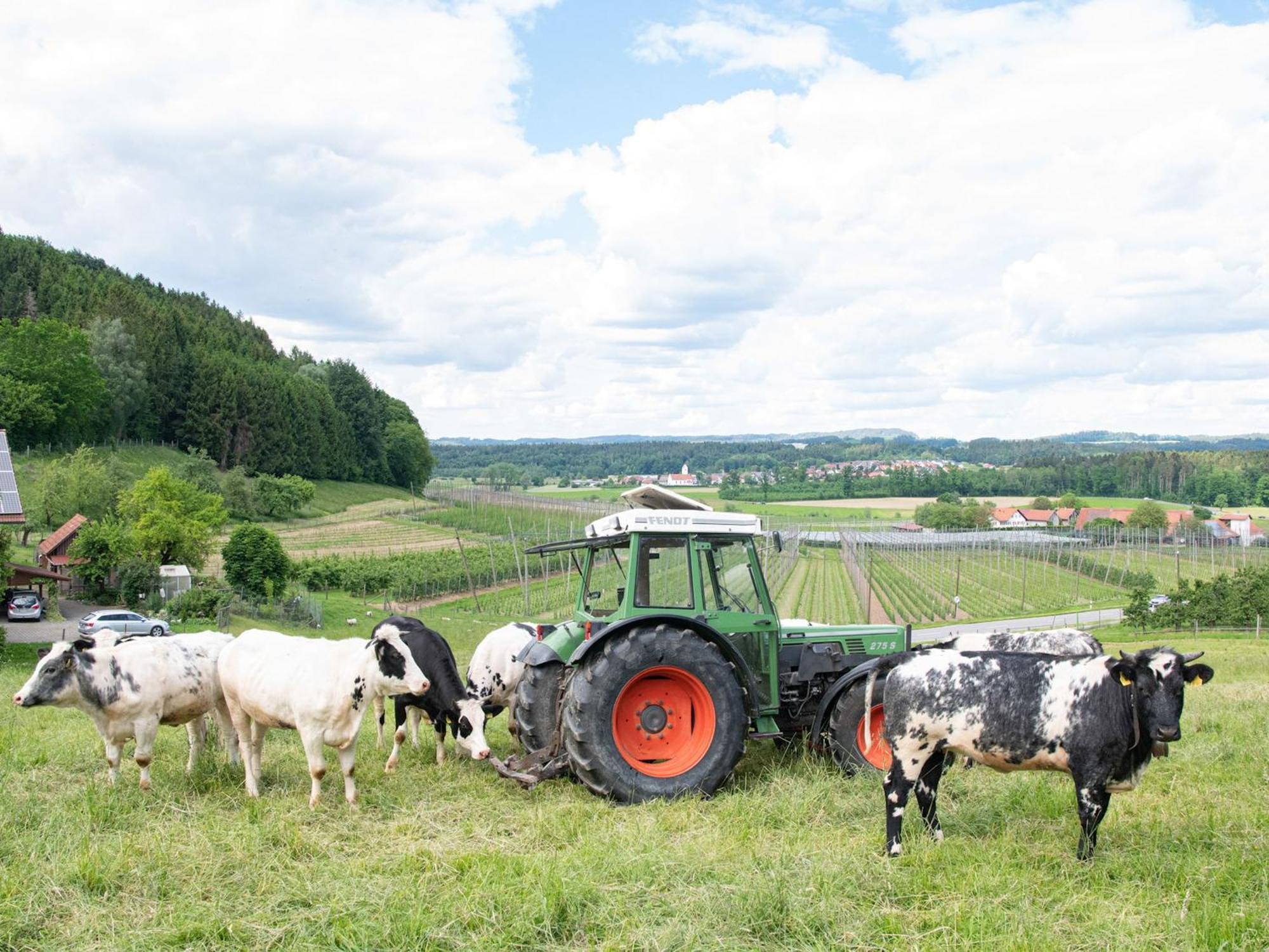 Ferienhof Biegger テットナング エクステリア 写真